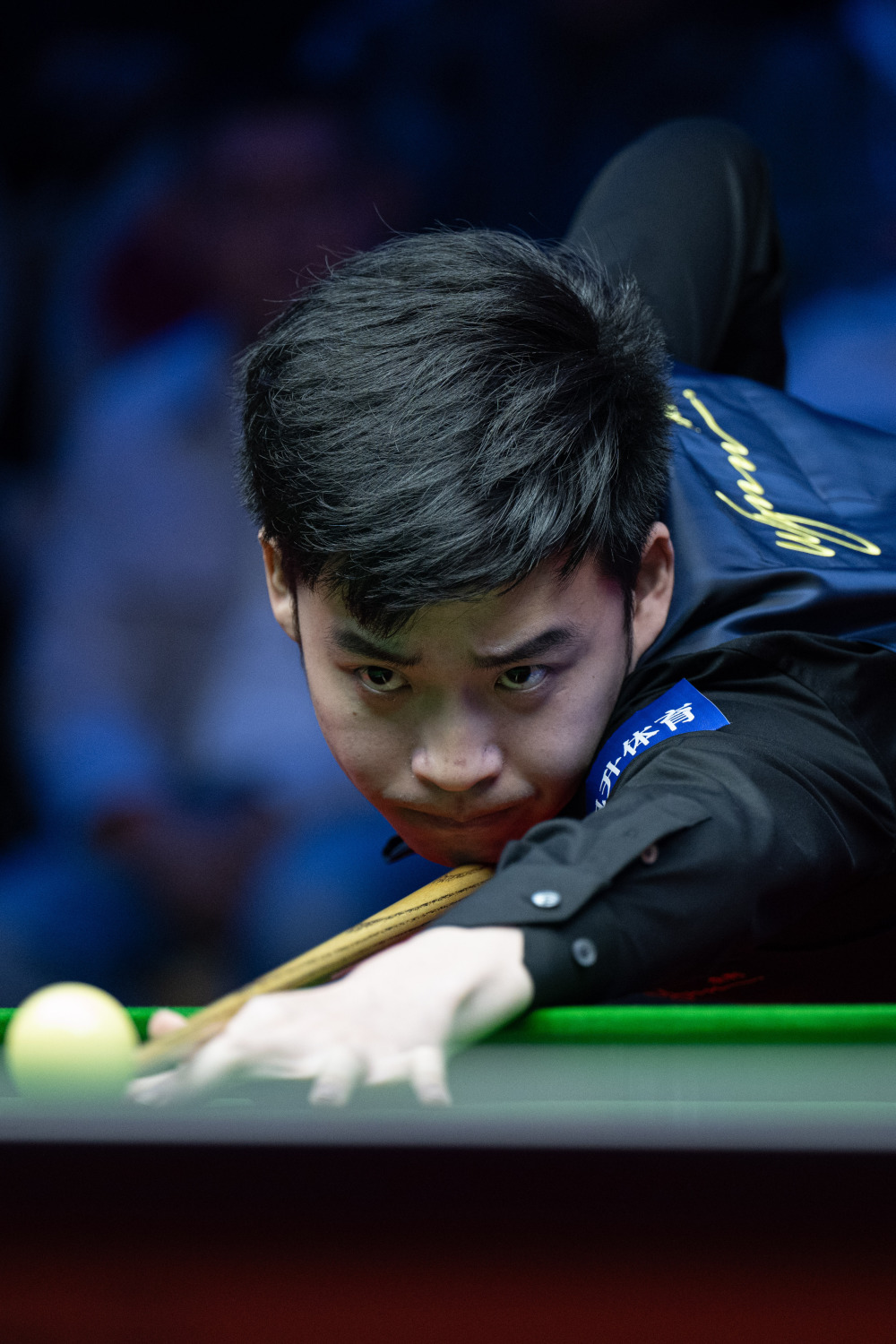 这或许正是 这或许正是